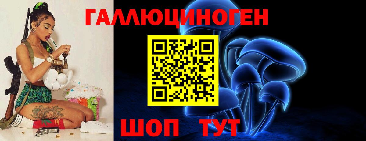 Волжский  Галлюциногенные грибы прущие грибы  Галлюциногенные грибы Psilocybe  Вход с VPN 