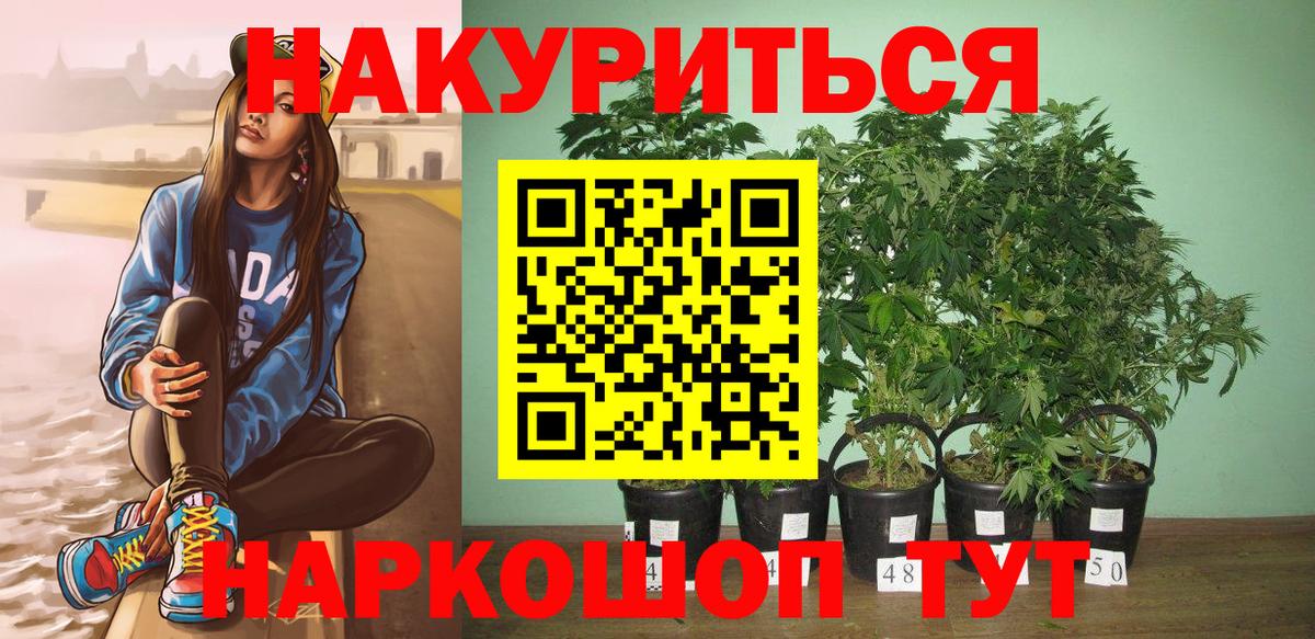 Волжский  Бошки марихуана тримм  Вход с VPN  Каннабис ГИДРОПОН 